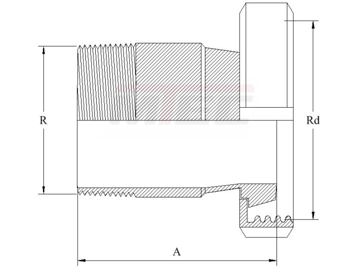 Einschraub-Milchkegelstutzen  DN 80 / R 1-1/2" - 304